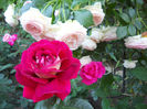 DSCN3360