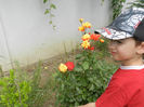 DSCN5965