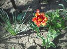 DSCN5401