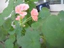 DSCN5757