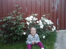 P300513_20.41_[01]