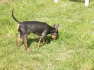 P4201493 - Copy (2)