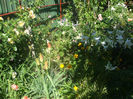 DSCF1496