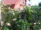 DSCF1506