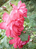 P1050982
