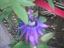 DSCN2650[1]