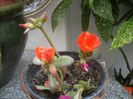 DSCN2652[1]