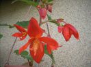 DSCN2661[1]