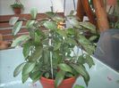 DSCN2664[1]