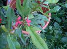 DSCN2709[1]