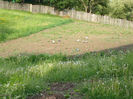 2013-05-21-1508