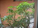 DSCN2702[1]