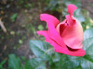 P1018134