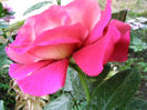 P1018138