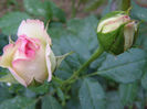 P1018154