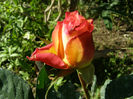 P1018166