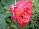 P1018189