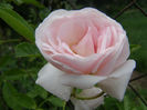 P1018202