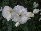 P1018238