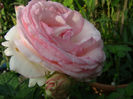 P1018243