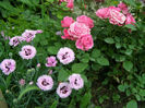 P1018260