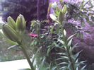 31-05-13_1250