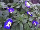 31-05-13_1333
