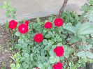 DSCN1119