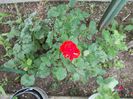 DSCN1123