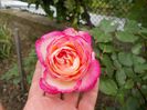 DSCN1124