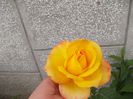 DSCN1126