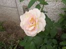 DSCN1127