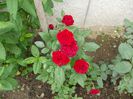 DSCN1128