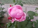 DSCN1134