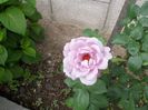 DSCN1136