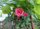 DSCN1007