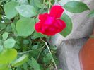 DSCN0831