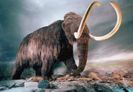 imagen mamut lanudo
