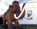 Mamut_NDH_2