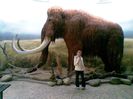 mamut_v_ZOO