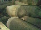 images (4)
