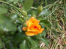 DSCN0464