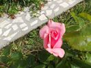 DSCN0465