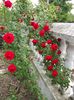 DSCN0483