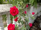 DSCN0486