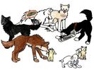 Anime_dogs_by_FeNnEc_FoX13