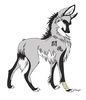 animewolf-2-jpg