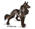 anime-wolfs-anime-wolves-7226541-682-561-jpg