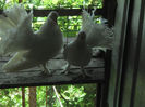 IMG_20130601_142906