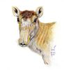 resizedimage350378-A.-Geskos-drawing-Saiga-2012